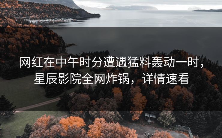 网红在中午时分遭遇猛料轰动一时，星辰影院全网炸锅，详情速看