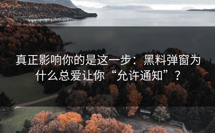真正影响你的是这一步：黑料弹窗为什么总爱让你“允许通知”？